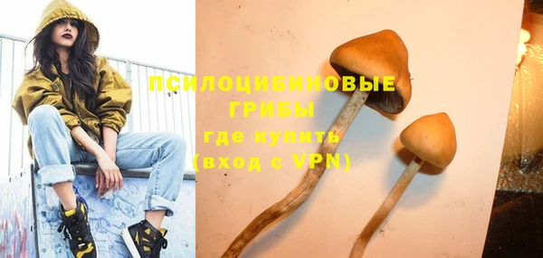 стаф Алексин