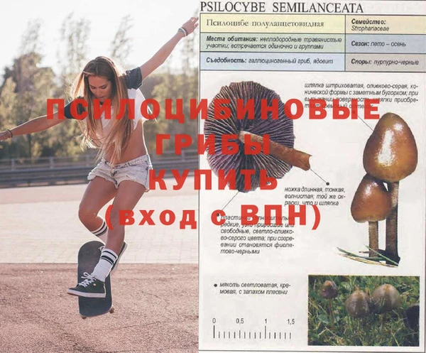 mix Алзамай