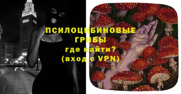 стаф Алексин