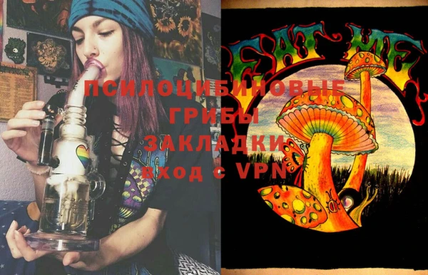 стаф Алексин