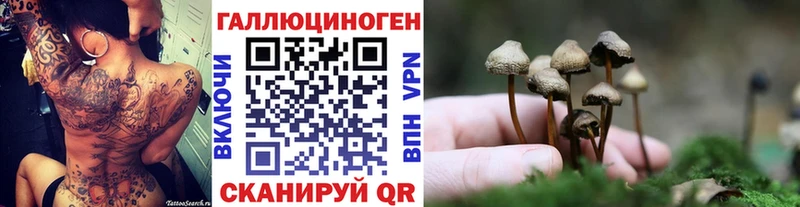 Псилоцибиновые грибы Psilocybine cubensis как найти Борзя