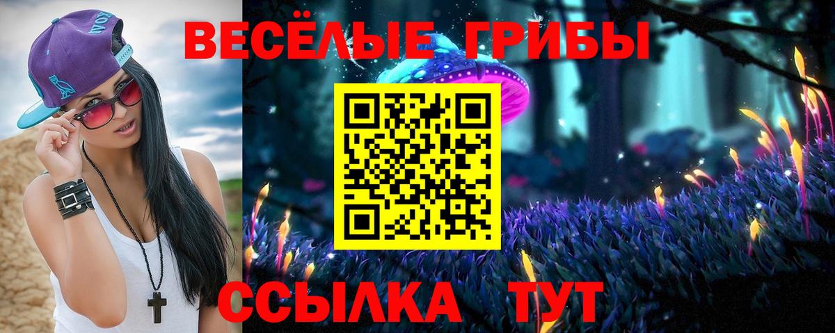 Борзя  Псилоцибиновые грибы GOLDEN TEACHER  цена наркотик  Вход с VPN 